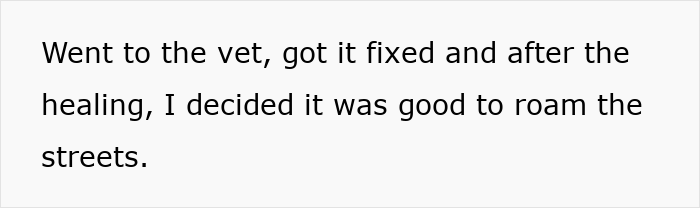 Furious Cat Owner Demands Vengeance After Neighbor Permanently Alters His Prized Pet