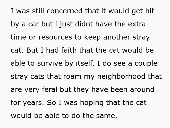 Furious Cat Owner Demands Vengeance After Neighbor Permanently Alters His Prized Pet