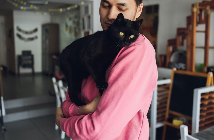 Furious Cat Owner Demands Vengeance After Neighbor Permanently Alters His Prized Pet