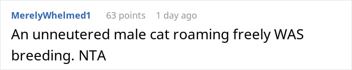 Furious Cat Owner Demands Vengeance After Neighbor Permanently Alters His Prized Pet