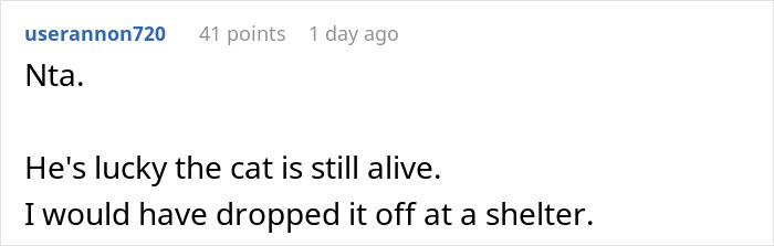Furious Cat Owner Demands Vengeance After Neighbor Permanently Alters His Prized Pet
