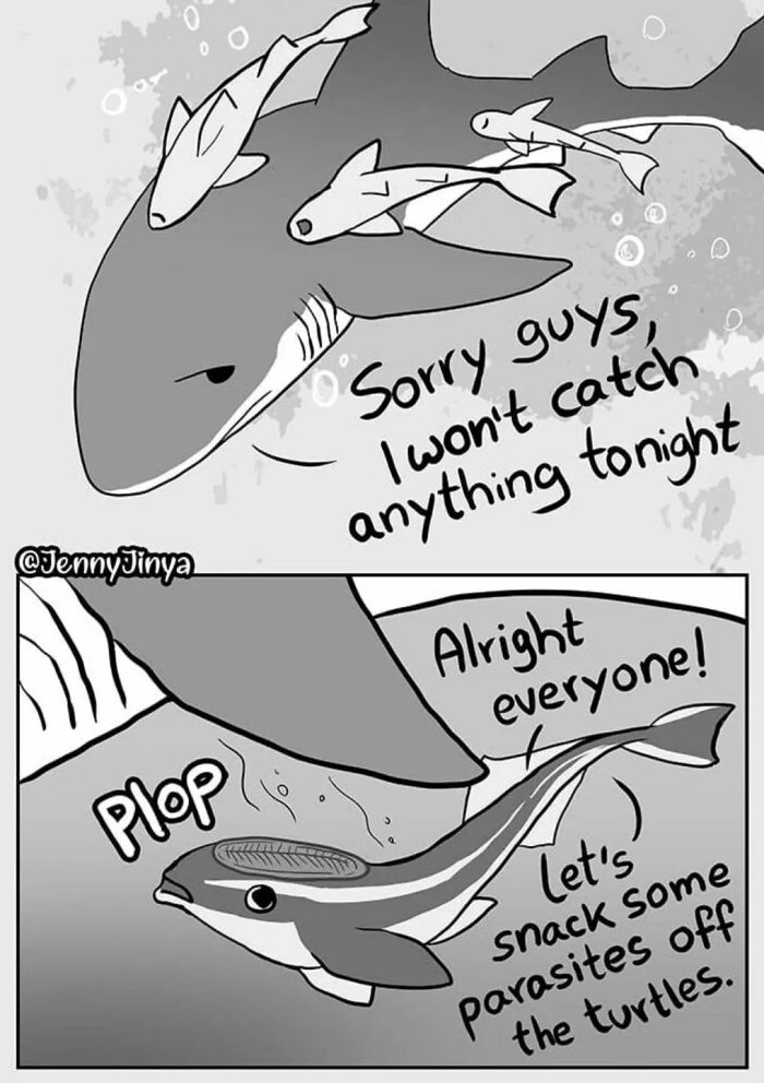 Artist Who Made People Cry With Her Grim Reaper Animal Comics Is Back With New Tearjerkers (7 Stories)