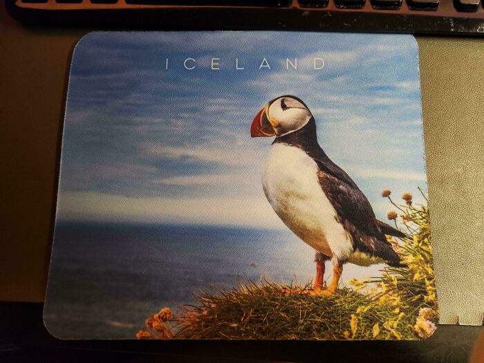 71 Times Delusional Family Members Showed How Entitled They Really Are (New Pics) 71 Times Delusional Family Members Showed How Entitled They Really Are (New Pics)