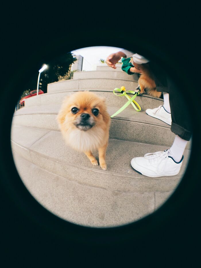 55 Weird And Unhinged Family Traditions That You Probably Don’t Have