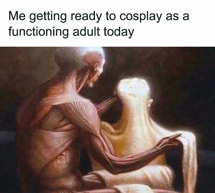 77 Funny And Relatable Memes To Scroll Through Instead Of Actually Dealing With Your Problems 77 Funny And Relatable Memes To Scroll Through Instead Of Actually Dealing With Your Problems