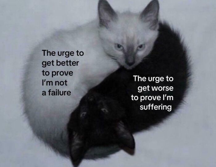 77 Funny And Relatable Memes To Scroll Through Instead Of Actually Dealing With Your Problems 77 Funny And Relatable Memes To Scroll Through Instead Of Actually Dealing With Your Problems