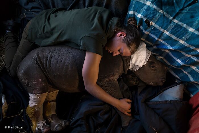 40 Incredible Photos Awarded In Previous Years Of The Wildlife Photographer Of The Year Contest