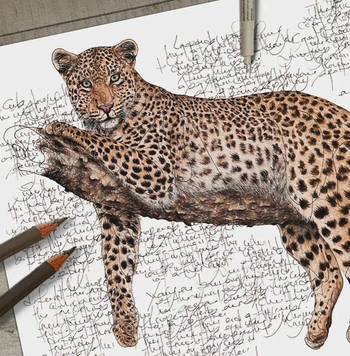 This Artist Turns Wildlife Into Hyper-Detailed Pencil Sketches, And Here Are 34 Of The Best Ones This Artist Turns Wildlife Into Hyper-Detailed Pencil Sketches, And Here Are 34 Of The Best Ones