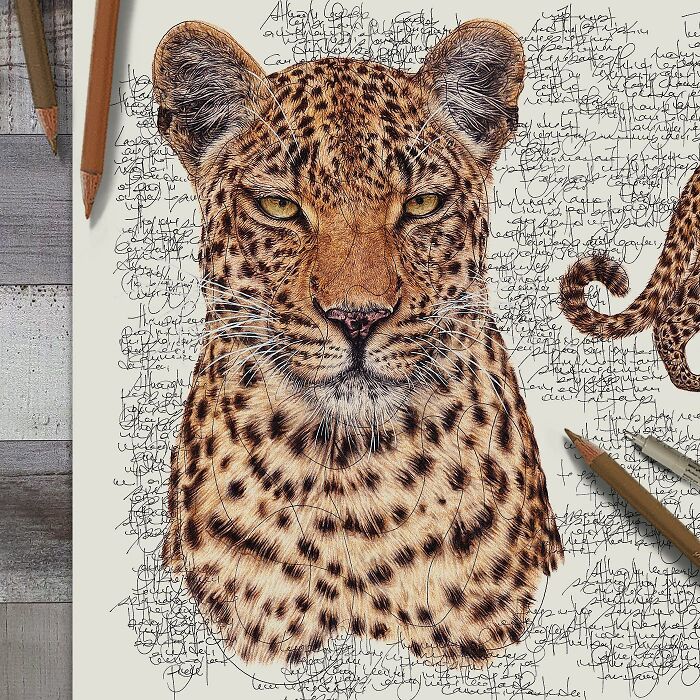 This Artist Turns Wildlife Into Hyper-Detailed Pencil Sketches, And Here Are 34 Of The Best Ones This Artist Turns Wildlife Into Hyper-Detailed Pencil Sketches, And Here Are 34 Of The Best Ones