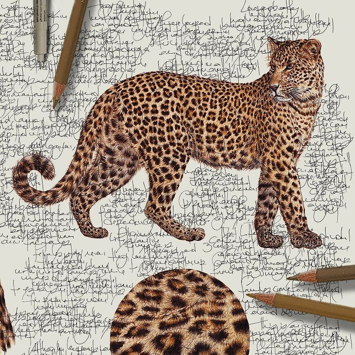 This Artist Turns Wildlife Into Hyper-Detailed Pencil Sketches, And Here Are 34 Of The Best Ones This Artist Turns Wildlife Into Hyper-Detailed Pencil Sketches, And Here Are 34 Of The Best Ones