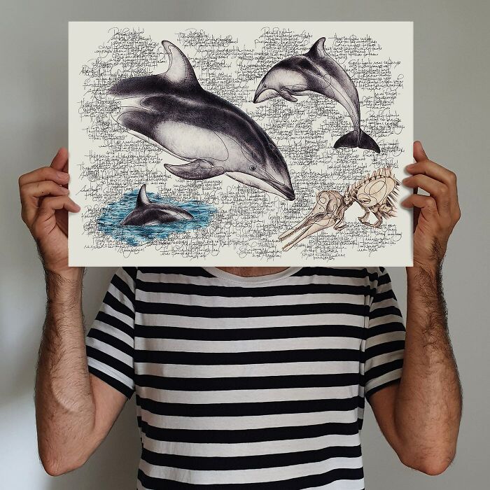 This Artist Turns Wildlife Into Hyper-Detailed Pencil Sketches, And Here Are 34 Of The Best Ones This Artist Turns Wildlife Into Hyper-Detailed Pencil Sketches, And Here Are 34 Of The Best Ones