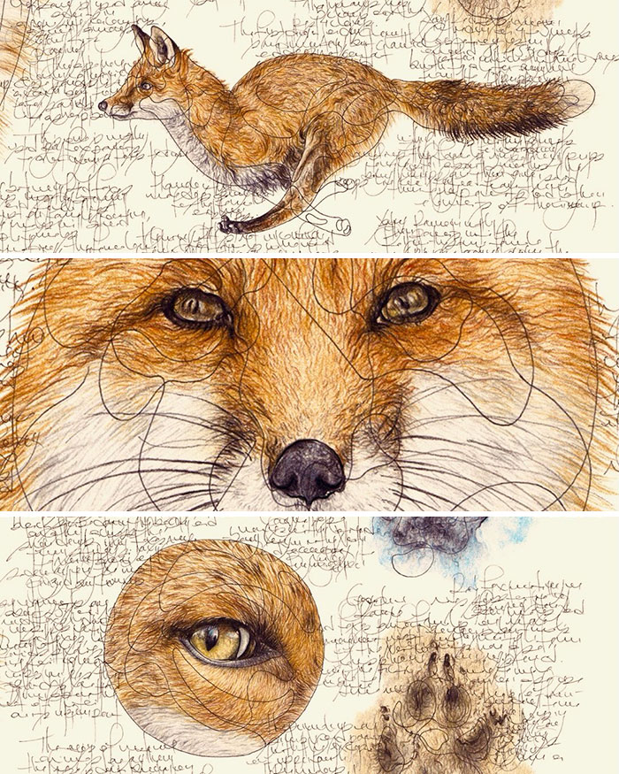 This Artist Turns Wildlife Into Hyper-Detailed Pencil Sketches, And Here Are 34 Of The Best Ones This Artist Turns Wildlife Into Hyper-Detailed Pencil Sketches, And Here Are 34 Of The Best Ones