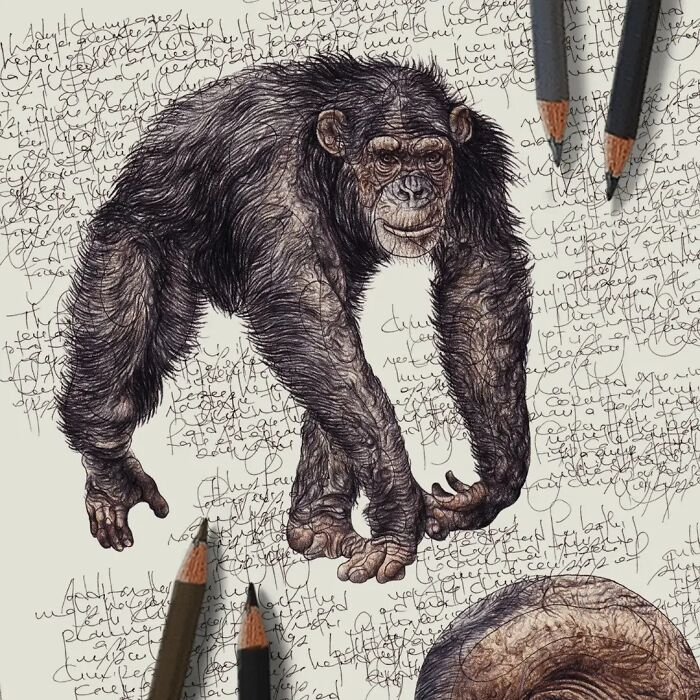 This Artist Turns Wildlife Into Hyper-Detailed Pencil Sketches, And Here Are 34 Of The Best Ones This Artist Turns Wildlife Into Hyper-Detailed Pencil Sketches, And Here Are 34 Of The Best Ones