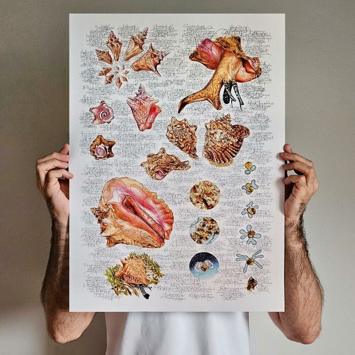 This Artist Turns Wildlife Into Hyper-Detailed Pencil Sketches, And Here Are 34 Of The Best Ones This Artist Turns Wildlife Into Hyper-Detailed Pencil Sketches, And Here Are 34 Of The Best Ones