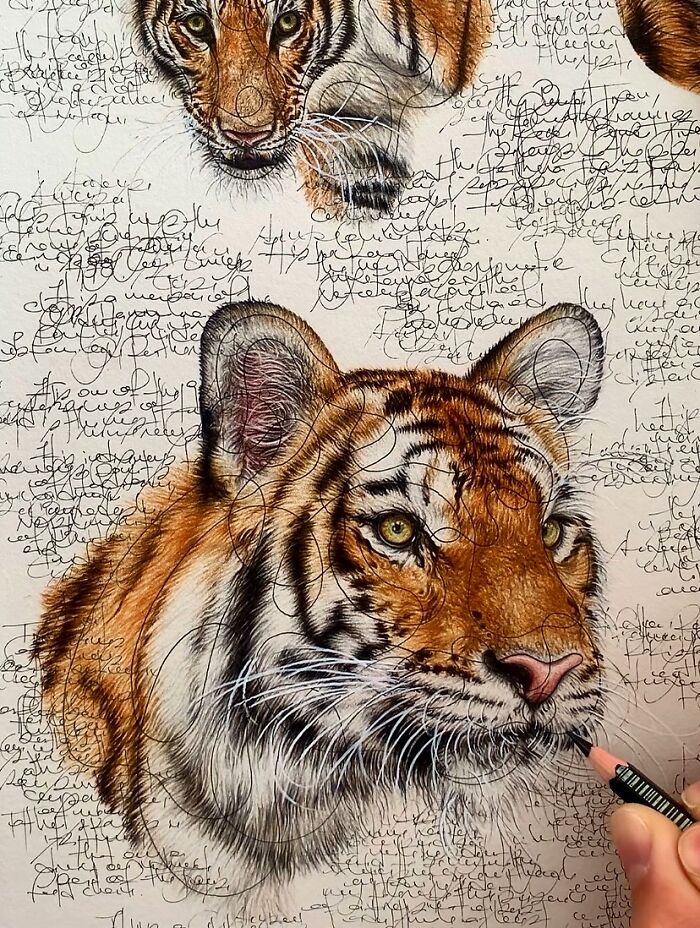 This Artist Turns Wildlife Into Hyper-Detailed Pencil Sketches, And Here Are 34 Of The Best Ones This Artist Turns Wildlife Into Hyper-Detailed Pencil Sketches, And Here Are 34 Of The Best Ones