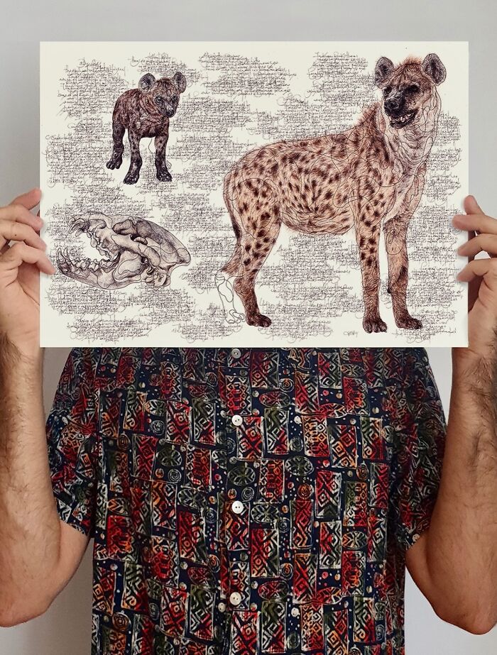 This Artist Turns Wildlife Into Hyper-Detailed Pencil Sketches, And Here Are 34 Of The Best Ones This Artist Turns Wildlife Into Hyper-Detailed Pencil Sketches, And Here Are 34 Of The Best Ones