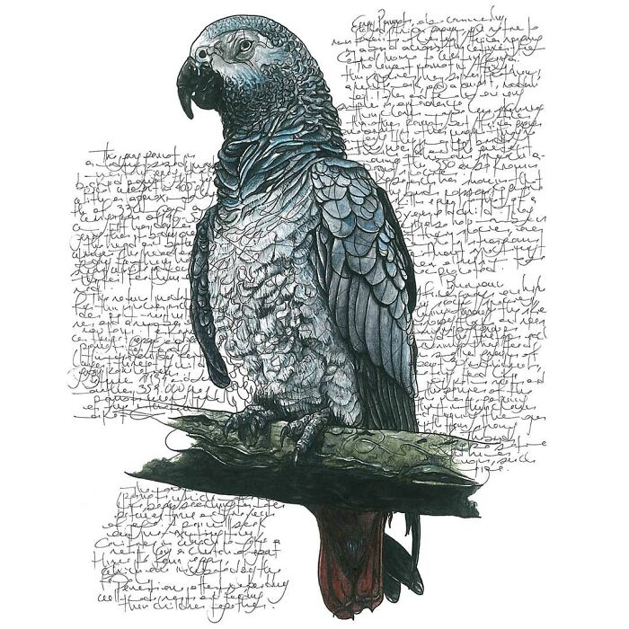 This Artist Turns Wildlife Into Hyper-Detailed Pencil Sketches, And Here Are 34 Of The Best Ones This Artist Turns Wildlife Into Hyper-Detailed Pencil Sketches, And Here Are 34 Of The Best Ones