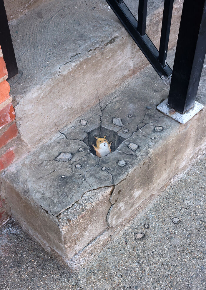 This Artist Turns Everyday Sidewalks Into Adorable 3D Creatures (35 New Pics) This Artist Turns Everyday Sidewalks Into Adorable 3D Creatures (35 New Pics)