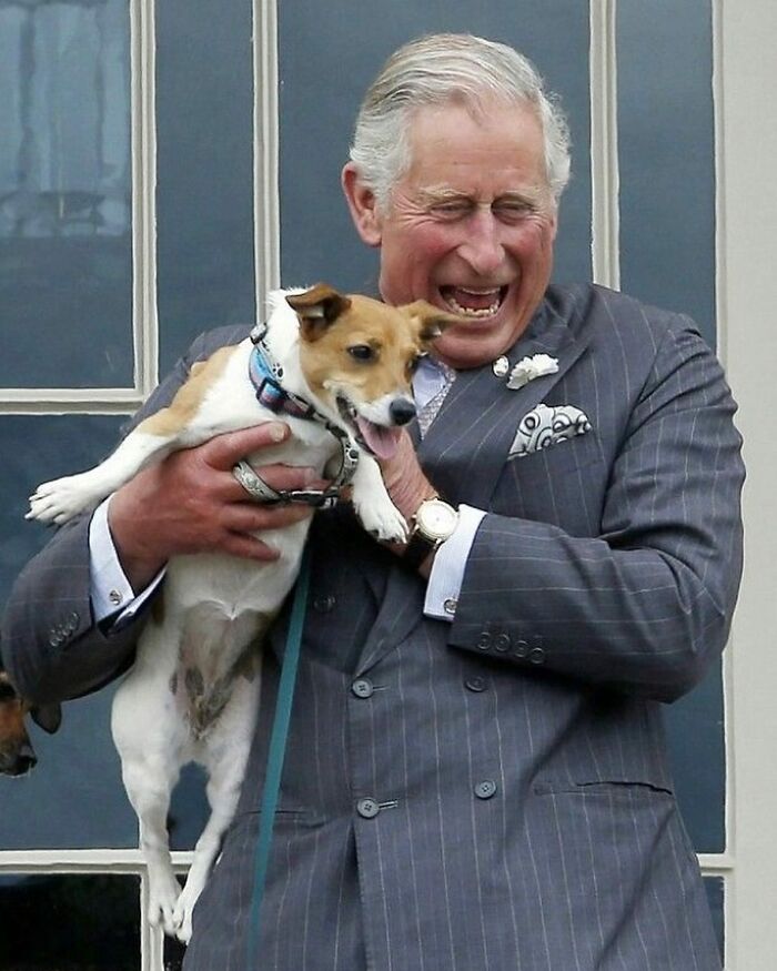 20 Weird Animal Laws That Might Have Gone A Little Too Far 20 Weird Animal Laws That Might Have Gone A Little Too Far