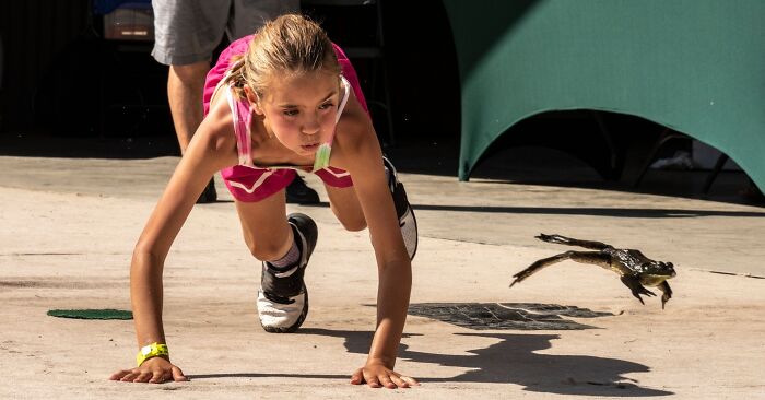 20 Weird Animal Laws That Might Have Gone A Little Too Far 20 Weird Animal Laws That Might Have Gone A Little Too Far