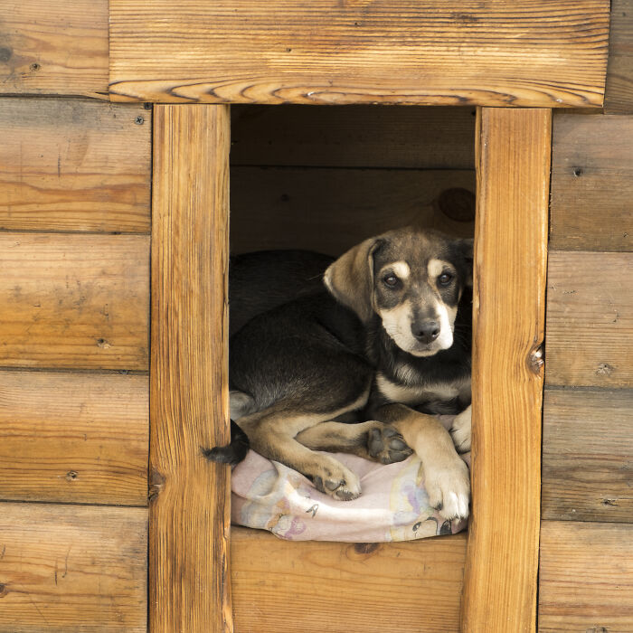 &ldquo;Don&rsquo;t Tell Your Mom&rdquo;: 79 Times Dads Had Their Kids&rsquo; Backs In The Most Wholesome Ways