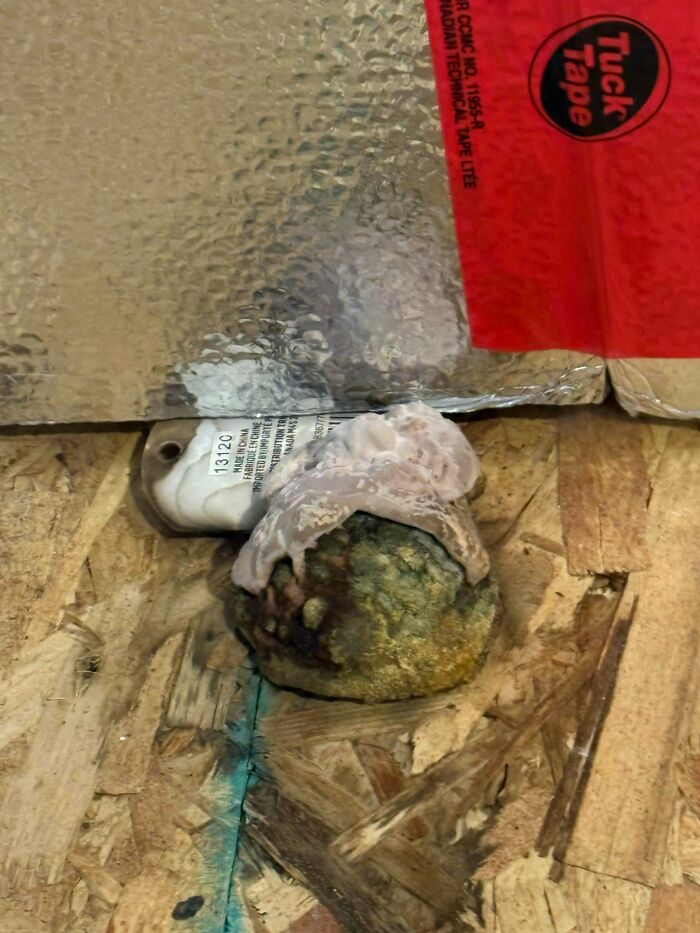 75 Strange Pics That People Just Had To Take As They Were Utterly Confused 75 Strange Pics That People Just Had To Take As They Were Utterly Confused