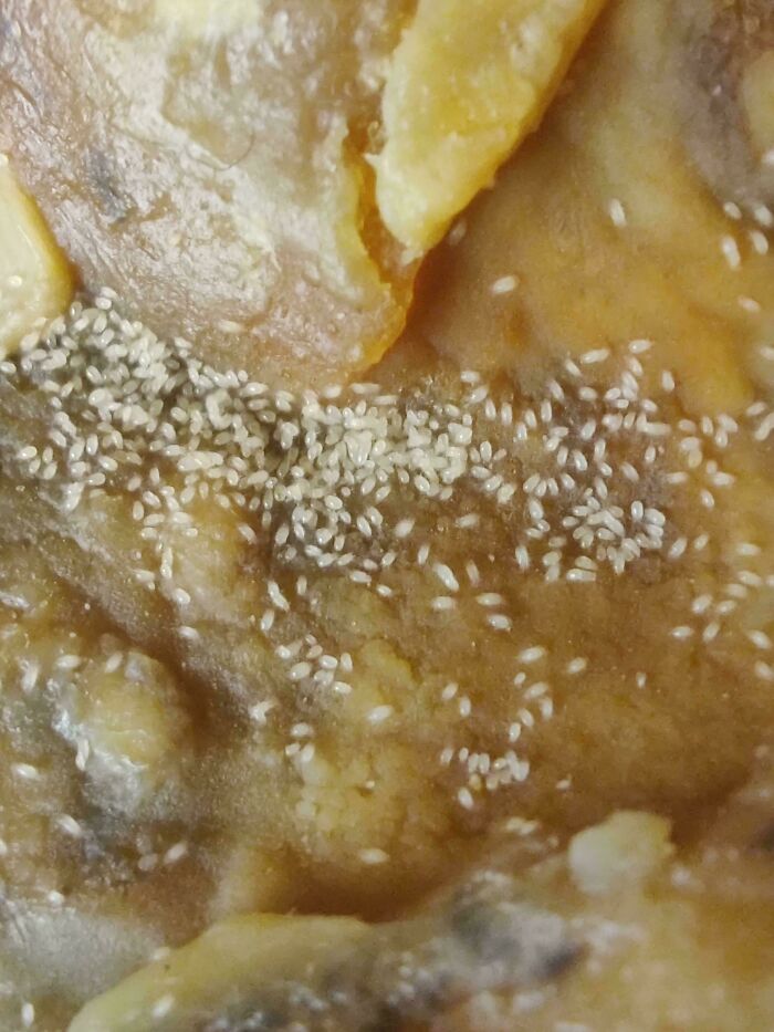 75 Strange Pics That People Just Had To Take As They Were Utterly Confused 75 Strange Pics That People Just Had To Take As They Were Utterly Confused