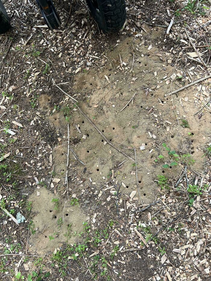 75 Strange Pics That People Just Had To Take As They Were Utterly Confused 75 Strange Pics That People Just Had To Take As They Were Utterly Confused