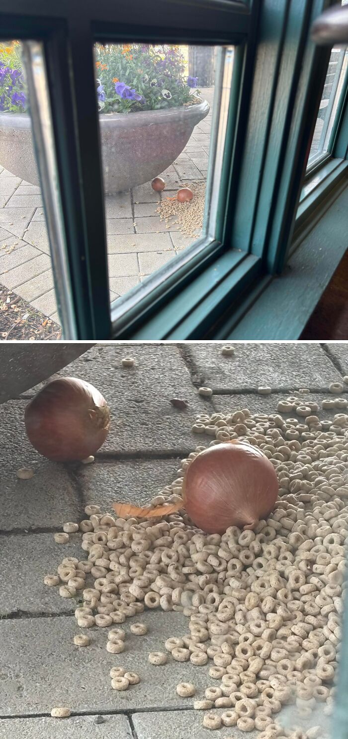 75 Strange Pics That People Just Had To Take As They Were Utterly Confused 75 Strange Pics That People Just Had To Take As They Were Utterly Confused