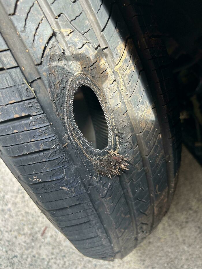 75 Strange Pics That People Just Had To Take As They Were Utterly Confused 75 Strange Pics That People Just Had To Take As They Were Utterly Confused