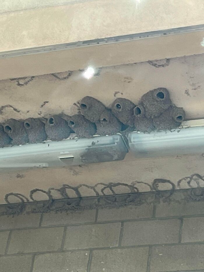 75 Strange Pics That People Just Had To Take As They Were Utterly Confused 75 Strange Pics That People Just Had To Take As They Were Utterly Confused