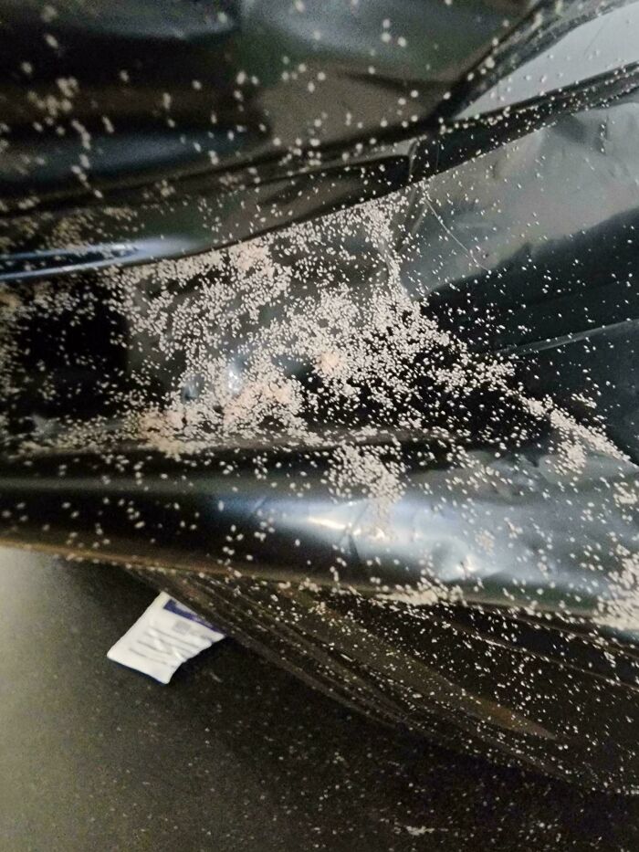 75 Strange Pics That People Just Had To Take As They Were Utterly Confused 75 Strange Pics That People Just Had To Take As They Were Utterly Confused