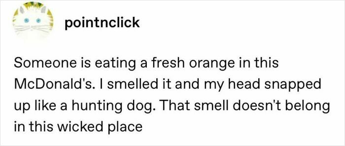 87 Hilarious Tumblr Posts That Prove The Site Is Still Unapologetically Brilliant 87 Hilarious Tumblr Posts That Prove The Site Is Still Unapologetically Brilliant