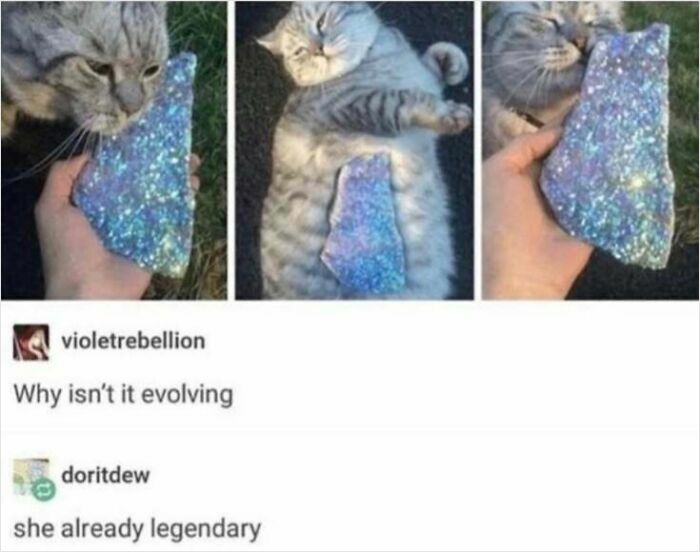 87 Hilarious Tumblr Posts That Prove The Site Is Still Unapologetically Brilliant 87 Hilarious Tumblr Posts That Prove The Site Is Still Unapologetically Brilliant