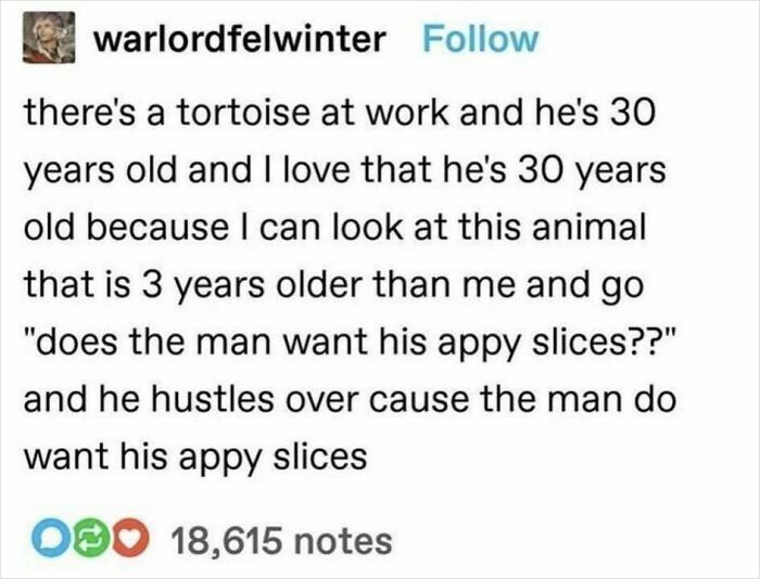 87 Hilarious Tumblr Posts That Prove The Site Is Still Unapologetically Brilliant 87 Hilarious Tumblr Posts That Prove The Site Is Still Unapologetically Brilliant