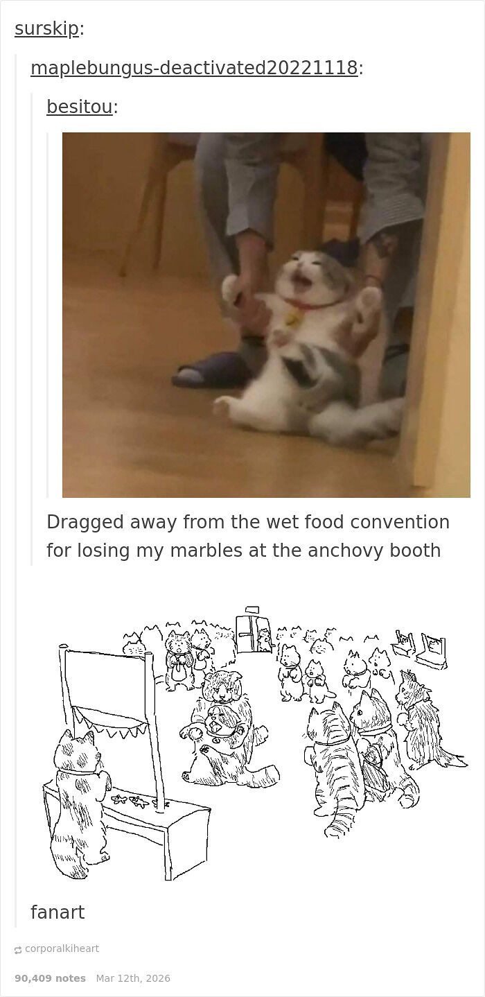 87 Hilarious Tumblr Posts That Prove The Site Is Still Unapologetically Brilliant 87 Hilarious Tumblr Posts That Prove The Site Is Still Unapologetically Brilliant