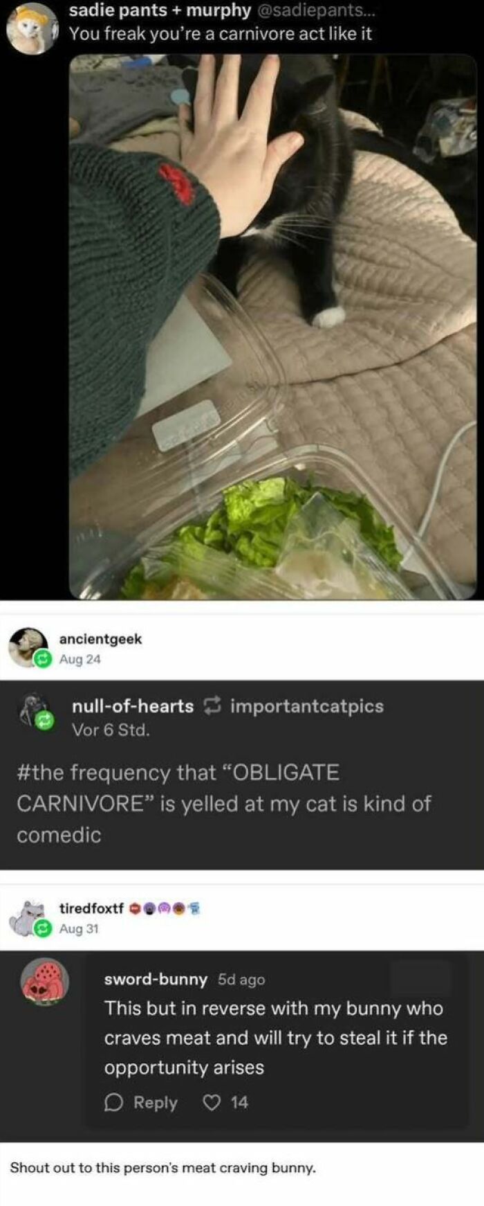 87 Hilarious Tumblr Posts That Prove The Site Is Still Unapologetically Brilliant 87 Hilarious Tumblr Posts That Prove The Site Is Still Unapologetically Brilliant