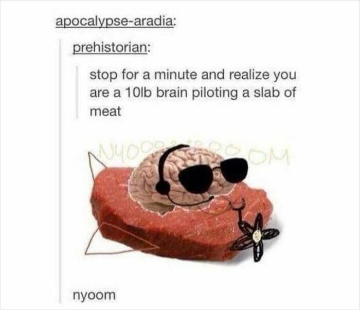 87 Hilarious Tumblr Posts That Prove The Site Is Still Unapologetically Brilliant 87 Hilarious Tumblr Posts That Prove The Site Is Still Unapologetically Brilliant