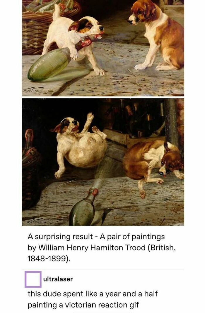 87 Hilarious Tumblr Posts That Prove The Site Is Still Unapologetically Brilliant 87 Hilarious Tumblr Posts That Prove The Site Is Still Unapologetically Brilliant