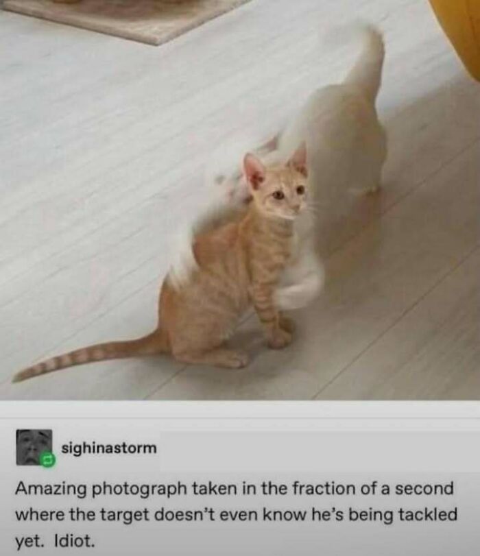 87 Hilarious Tumblr Posts That Prove The Site Is Still Unapologetically Brilliant 87 Hilarious Tumblr Posts That Prove The Site Is Still Unapologetically Brilliant