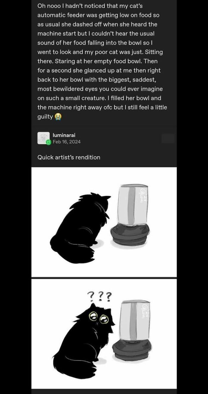 87 Hilarious Tumblr Posts That Prove The Site Is Still Unapologetically Brilliant 87 Hilarious Tumblr Posts That Prove The Site Is Still Unapologetically Brilliant