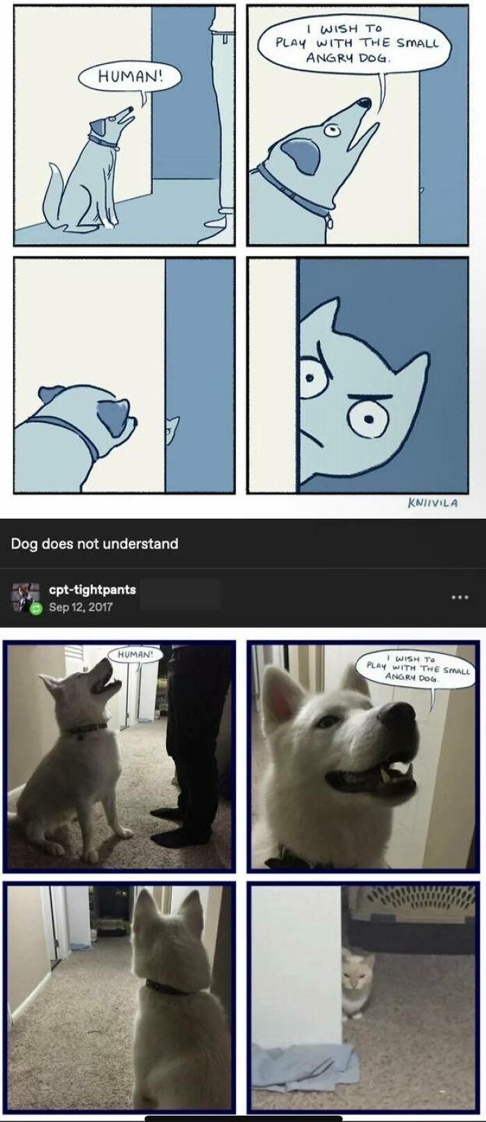 87 Hilarious Tumblr Posts That Prove The Site Is Still Unapologetically Brilliant 87 Hilarious Tumblr Posts That Prove The Site Is Still Unapologetically Brilliant