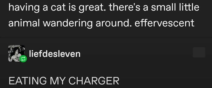 87 Hilarious Tumblr Posts That Prove The Site Is Still Unapologetically Brilliant 87 Hilarious Tumblr Posts That Prove The Site Is Still Unapologetically Brilliant