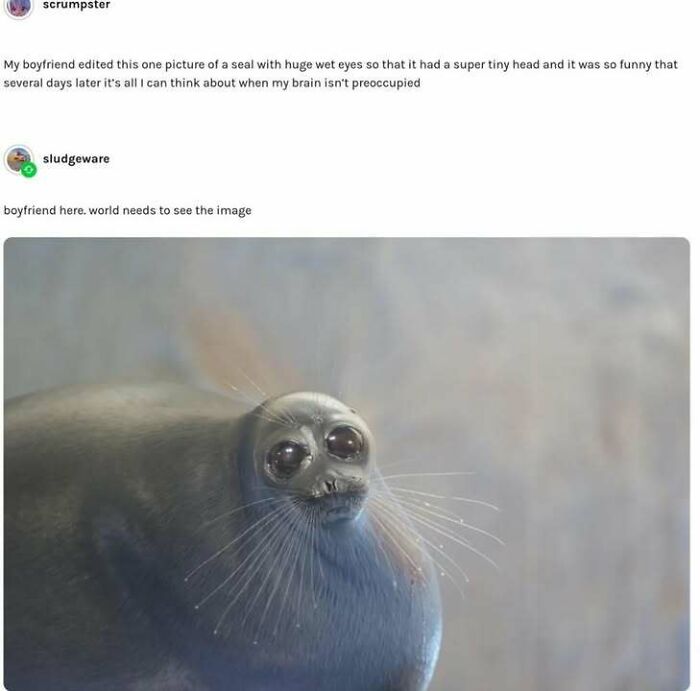 87 Hilarious Tumblr Posts That Prove The Site Is Still Unapologetically Brilliant 87 Hilarious Tumblr Posts That Prove The Site Is Still Unapologetically Brilliant