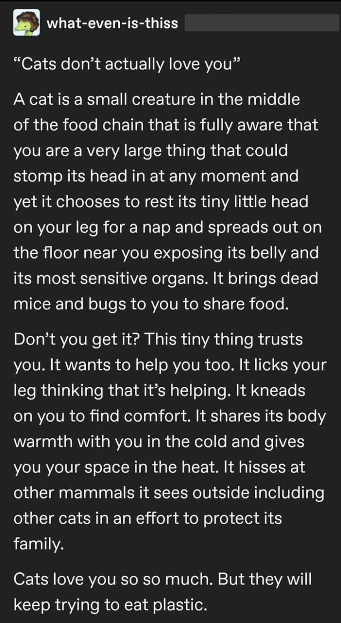 87 Hilarious Tumblr Posts That Prove The Site Is Still Unapologetically Brilliant 87 Hilarious Tumblr Posts That Prove The Site Is Still Unapologetically Brilliant