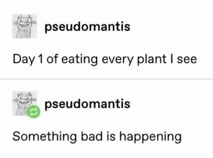 87 Hilarious Tumblr Posts That Prove The Site Is Still Unapologetically Brilliant 87 Hilarious Tumblr Posts That Prove The Site Is Still Unapologetically Brilliant