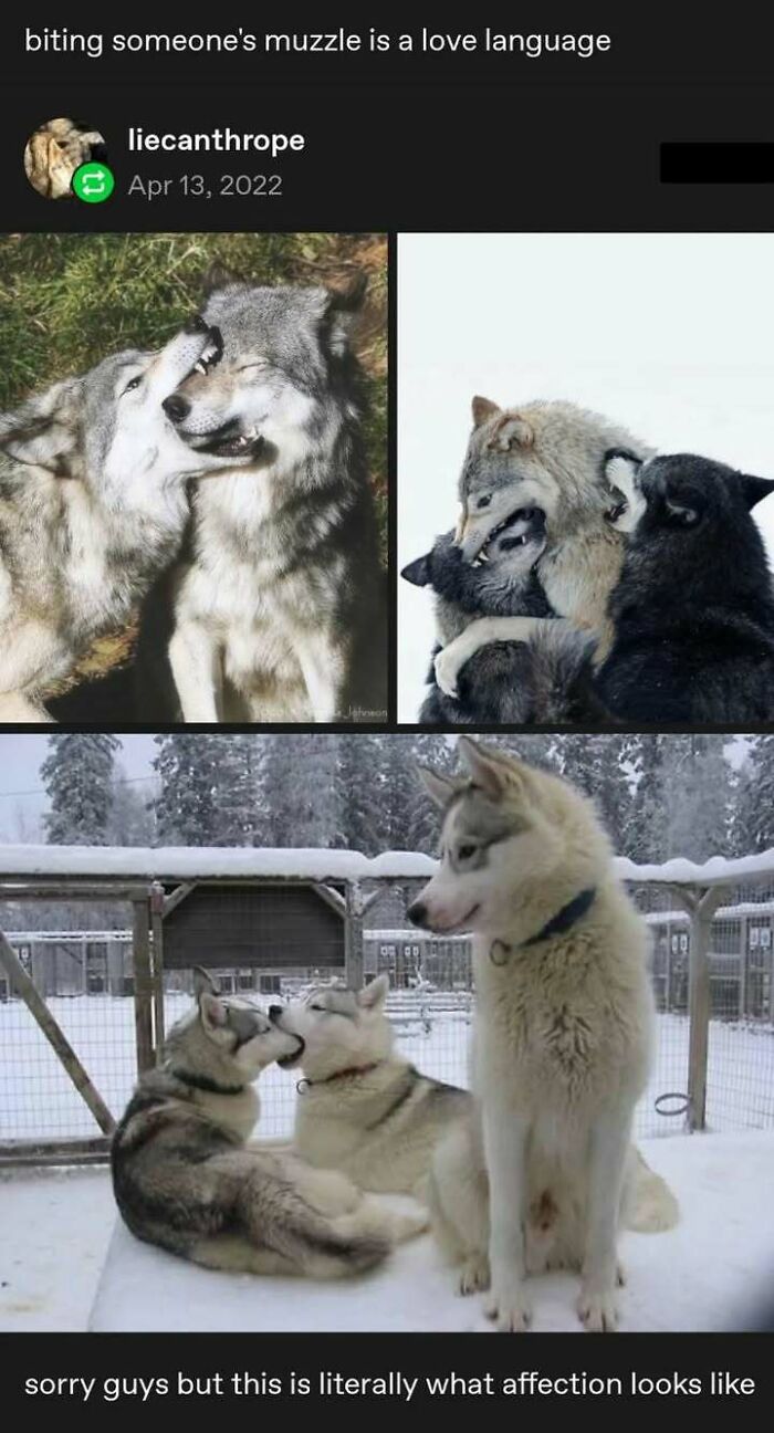 87 Hilarious Tumblr Posts That Prove The Site Is Still Unapologetically Brilliant 87 Hilarious Tumblr Posts That Prove The Site Is Still Unapologetically Brilliant