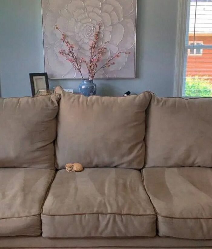 This Instagram Page Shares The Cutest “Smol” Animals, And Here Are 60 Of The Best Pics This Instagram Page Shares The Cutest “Smol” Animals, And Here Are 60 Of The Best Pics