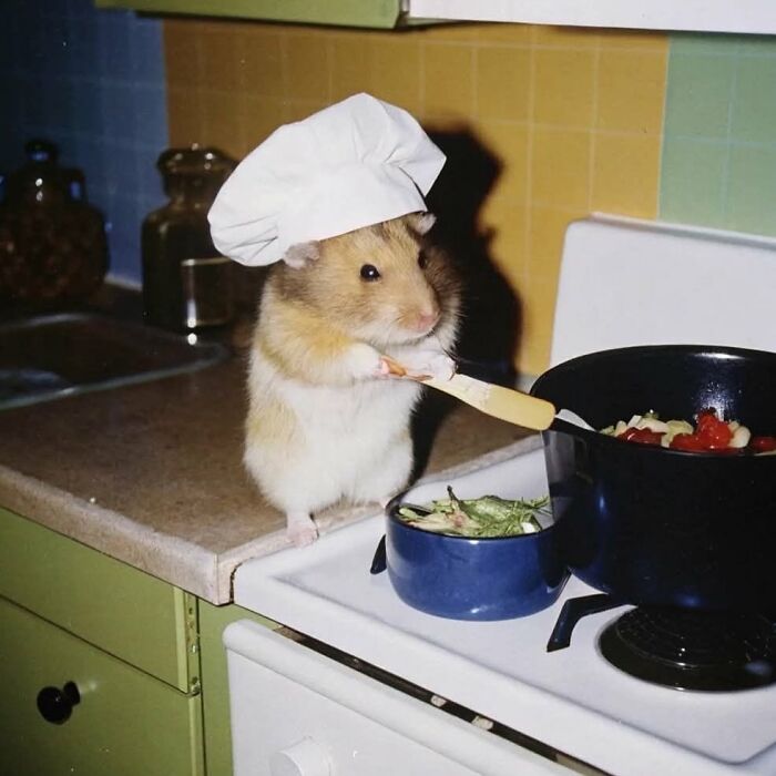 This Instagram Page Shares The Cutest “Smol” Animals, And Here Are 60 Of The Best Pics This Instagram Page Shares The Cutest “Smol” Animals, And Here Are 60 Of The Best Pics