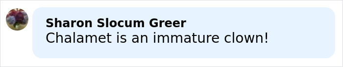 Acting Legend Becomes Latest To Blast Timothée Chalamet With Brutal Insult Over Ballet And Opera Remark